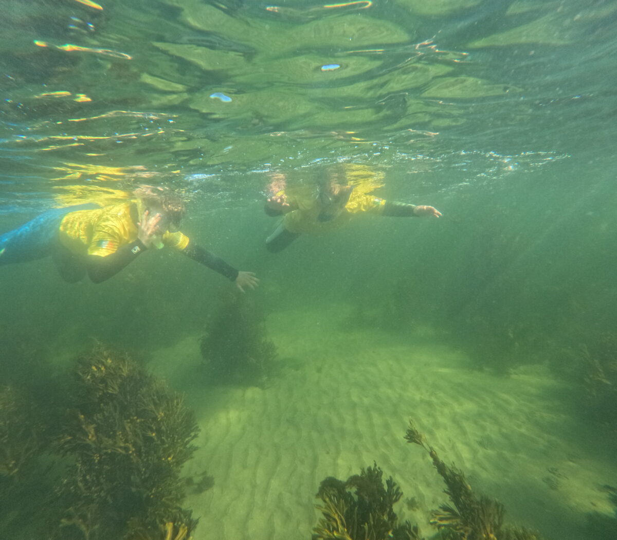Mully 2 snorkel